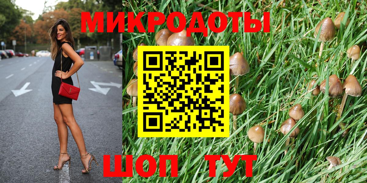 Псилоцибиновые грибы прущие грибы Лыткарино